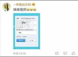 629吃瓜网验证码,轻松应对，畅享瓜界盛宴