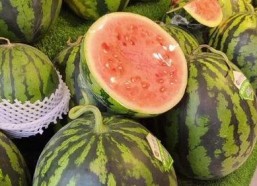 每日吃瓜网,揭秘娱乐圈最新热点，带你畅游八卦海洋